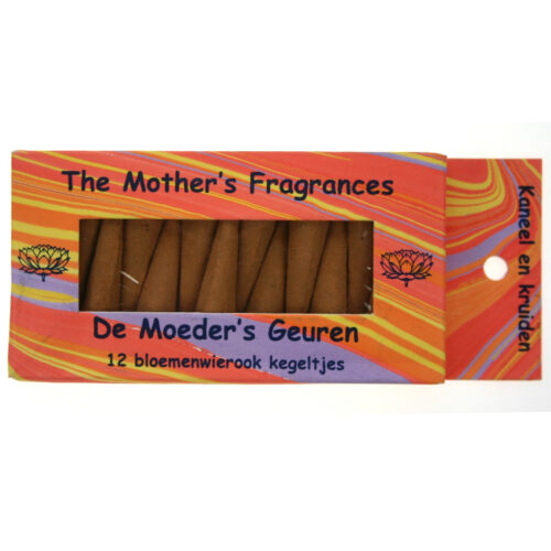 Kaneel en kruiden kegeltjes