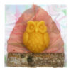 Grote uil op pepal blad