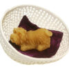 Hond in mandje