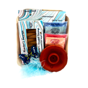 Cadeauverpakking Goud kegeltjes en terracotta houder, blauw