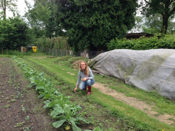 Ommuurde Tuin verwerkt eigen resten tot Bokashi